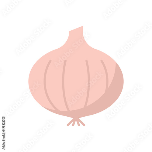 Onion Vector icon