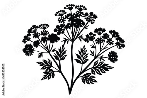 Black Silhouette of Queen Anne's Lace Flower Head, Leaves, and Stem Design