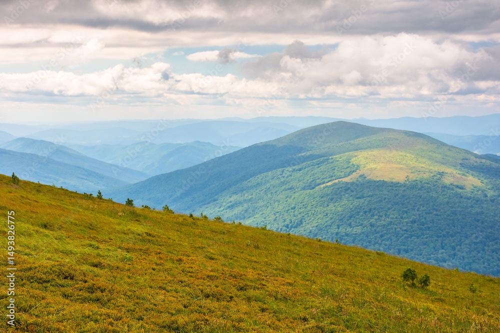 Fototapeta premium summer landscape with mountain range in cold weather. scenic view of the uzhanian national park valley. alpine scenery under cloudy sky in dappled light
