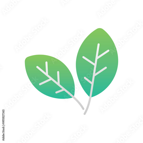 Basil Vector icon
