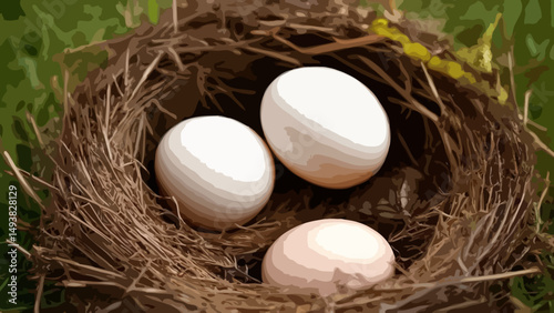 Nest with eggs