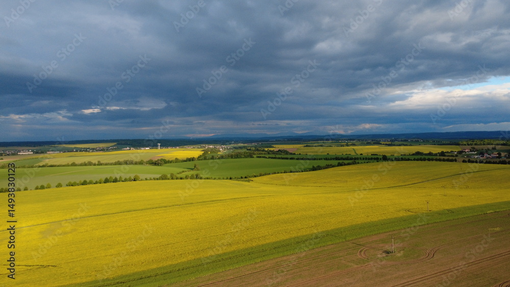 Fototapeta premium aerial view of the field of the cZech countryside