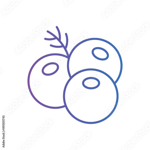 Juniper Vector icon