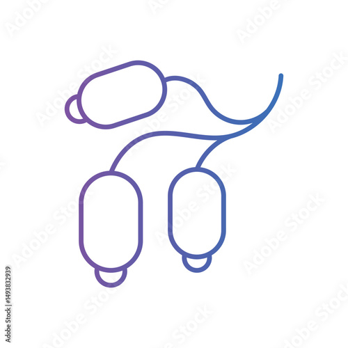 Barberry Vector icon