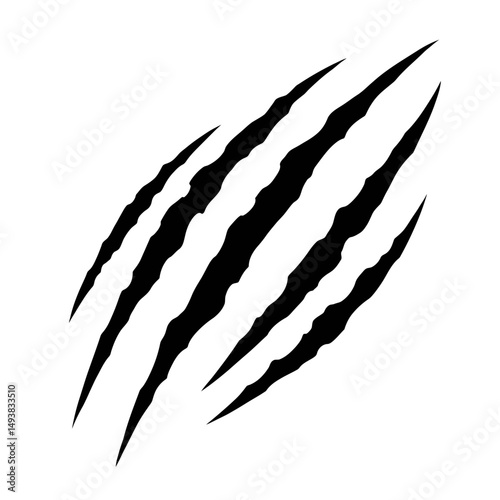 Lion claw marks illustration