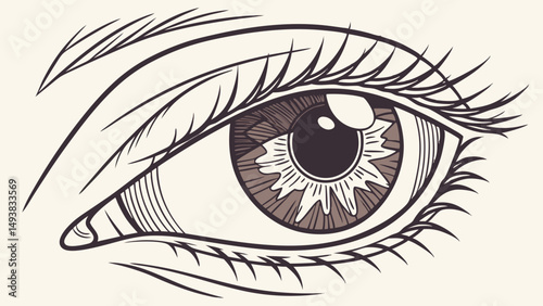 Detailed Line Art Illustration of a Human Eye
