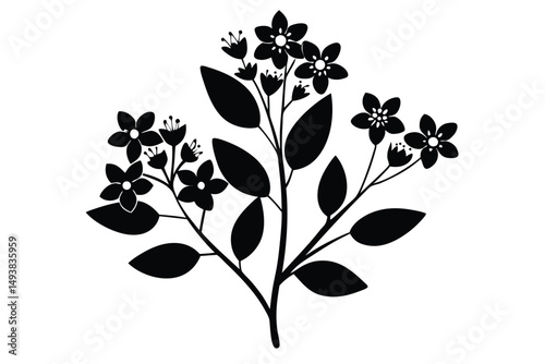 Detailed Black Silhouette Illustration of a Flowering Plant with Leaves and Blossoms