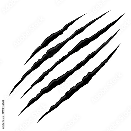 Panther claw marks illustration