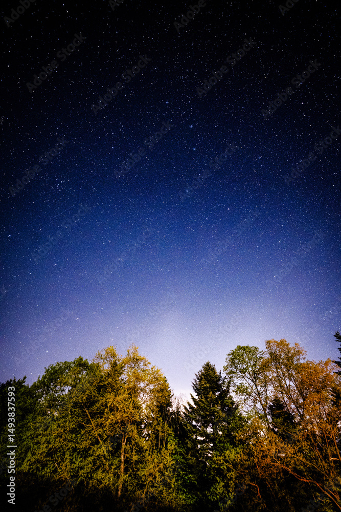 Naklejka premium starry night sky