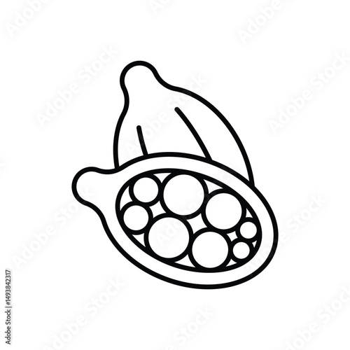 Cardamom Vector icon