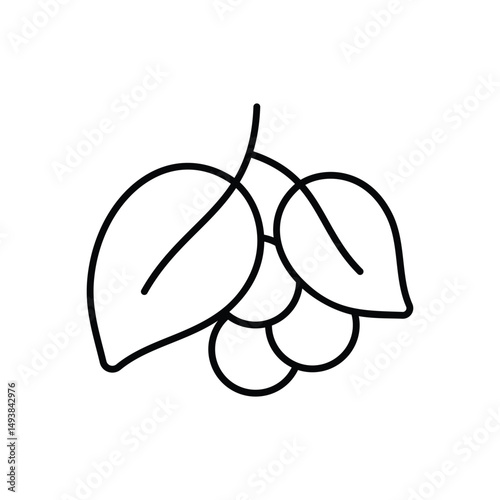 Black Pepper Vector icon