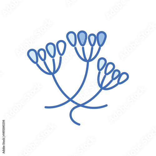 Caraway Vector icon