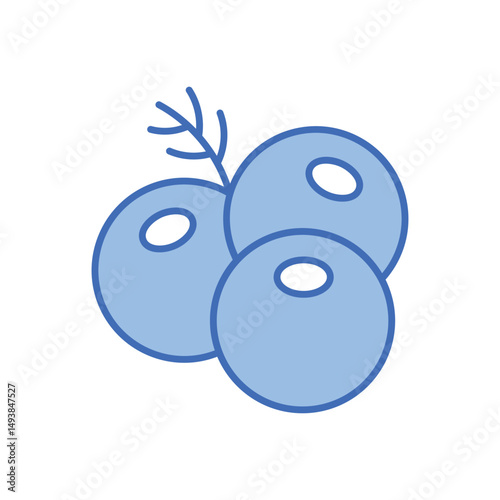 Juniper Vector icon