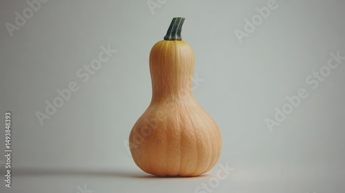 A Butternut Squash on a Neutral Background