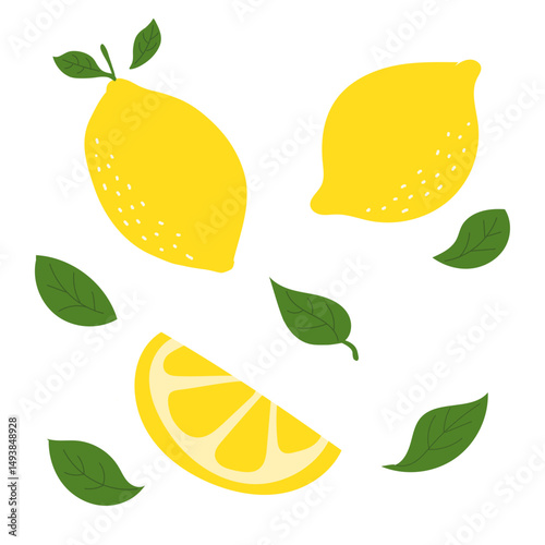 Refreshing illustration of a lemon. Vector.