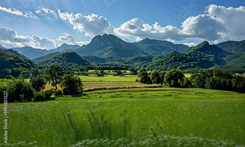 Wallpaper Mural Beautiful countryside view through open window Torontodigital.ca