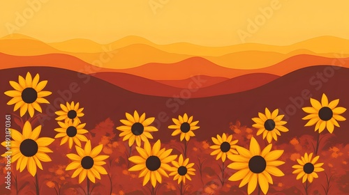 Autumn Sunset Landscape with Sunflowers Field