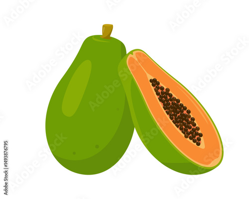 Fresh green Papaya exotic fruit, whole and half. Organic papaya vitamin healthy food. Vector plant icon illustration isolated on white background.