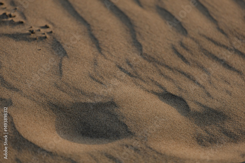 Desierto detalles
