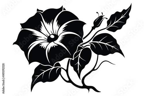 Silhouette of Elegant Morning Glory Flower with Bud and Leaves Artfully Arranged