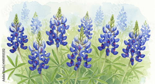 Watercolor painting of bluebonnet flowers with green leaves and a soft blue and green background art