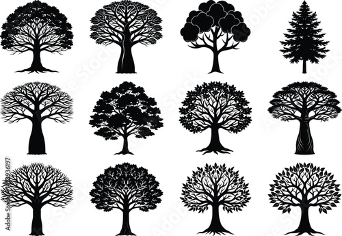 silhouette tree line drawing set,silhouette dead old leafless trees set isolated on white background.Tree silhouette collection.