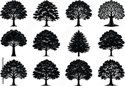 Tree silhouette vector. Isolated forest trees on white background,oak tree silhouettes with detailed branches,