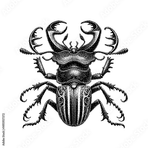 Detailed black and white illustration of a stylized beetle with intricate patterns