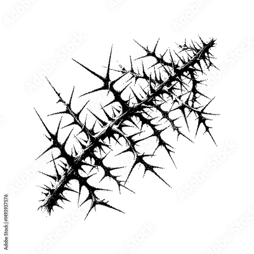 Abstract black thorny branch illustration in a minimalist style