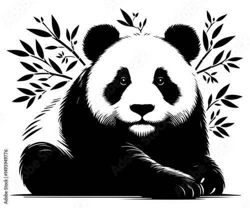 Panda surrounded by bamboo is a black and white silhouette on a white isolated background. Vector graphics.EPS.