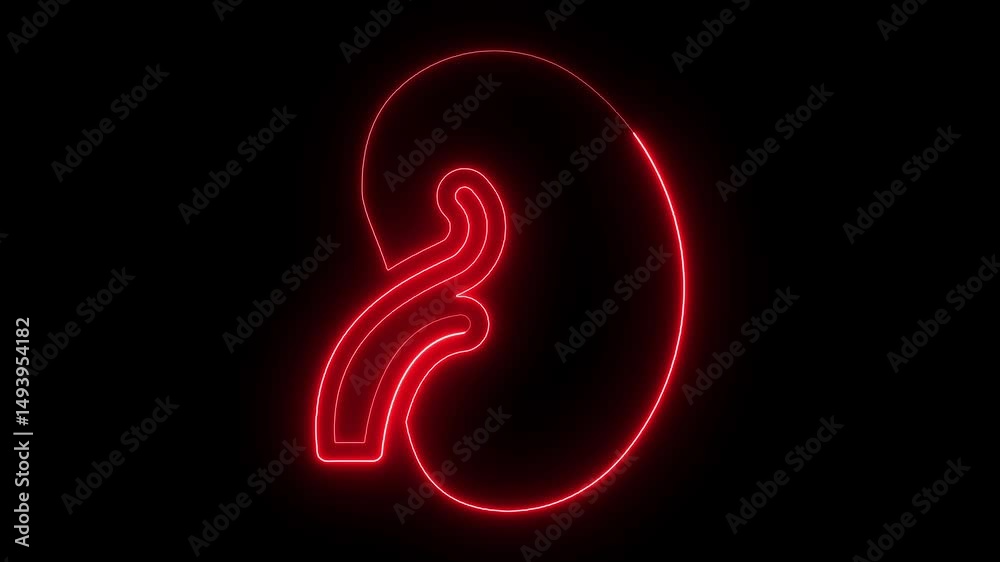 custom made wallpaper toronto digitalFuturistic neon kidney icon animation representing human organ on black background