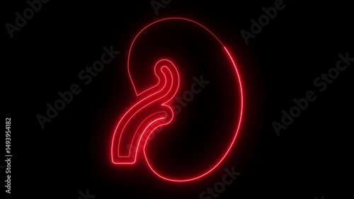 Wallpaper Mural Futuristic neon kidney icon animation representing human organ on black background Torontodigital.ca