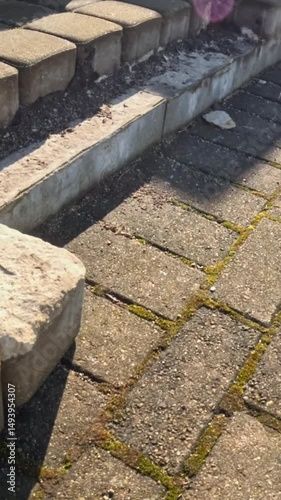 Aged Pavement: Close Up of Worn and Damaged Paving Stones in Riga photo