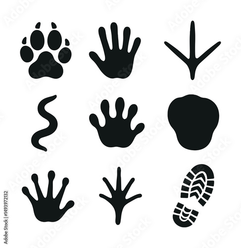 Animal and human tracks silhouette icons set. print and footprint symbols