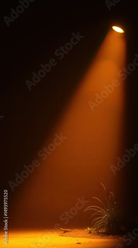 Soft orange light highlights a lone plant against a dark background presenting a peaceful and serene look perfect for a mobile background