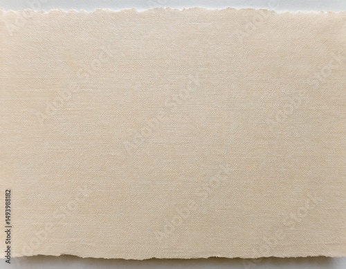 Wallpaper Mural a textured light colored square piece of paper or material showcasing a natural rough surface and irregular edges Torontodigital.ca