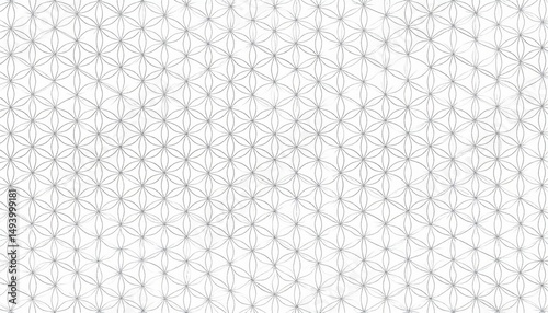 Flower of Life Geometric Seed Pattern