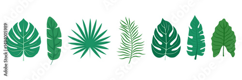 Tropical leaf vector set. Includes monstera, palm, banana, and other exotic plant elements. Ideal for posters, textiles, branding, and vacation graphics.