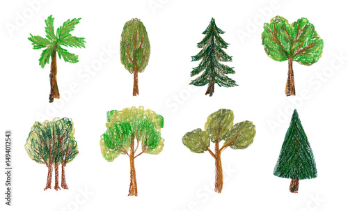 Cute botanical hand drawn oil pastel textured deciduous and coniferous trees set. Bright painted fir, oak, palm, maple, cedar, chestnut plants element for nature sticker, poster design, logo