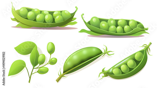 Wallpaper Mural Green Peas Vector Illustration Logo Icon Clipart for Food Packaging Design Torontodigital.ca