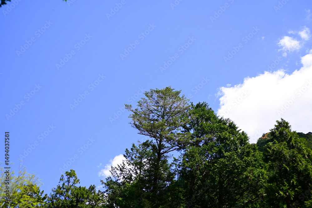 風薫る五月の空 風薫る五月の空