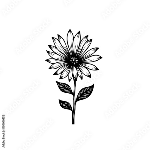 Single stylized bloom illustration on a plain backdrop, suitable for graphic design