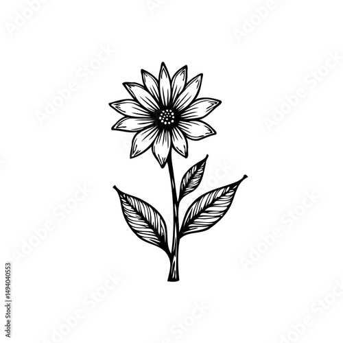 Elegant monochrome botanical illustration showcasing a detailed stylized flower