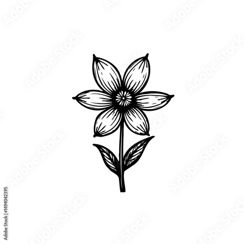 Floral drawing with detailed petal texture and refined stem aesthetic