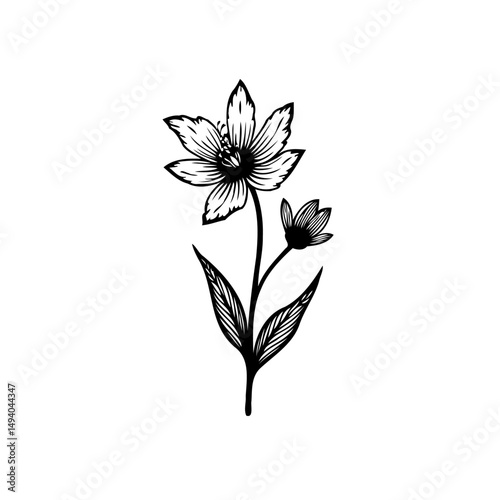 Detailed Floral Engraving: A Monochrome Botanical Study of Delicate Blossoms