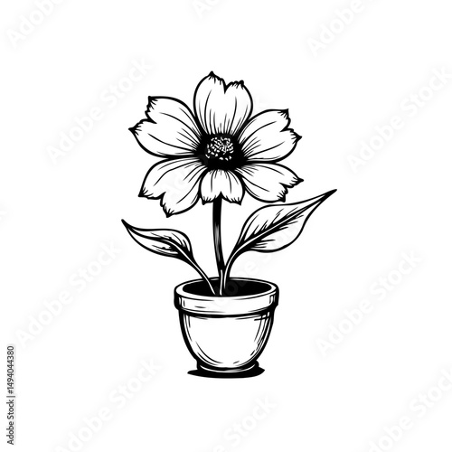 Delicate monochrome flower illustration in a simple pot against a plain background