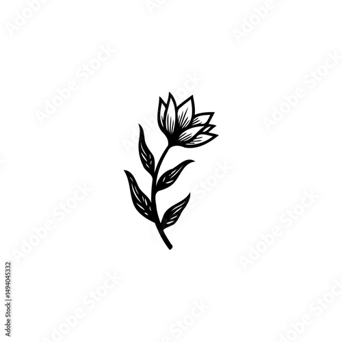 Elegant floral illustration with detailed linework against a stark white background