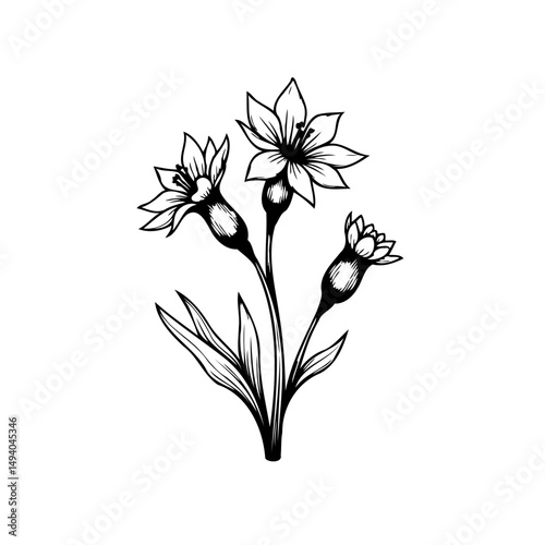 Elegant botanical illustration of springtime wildflowers with delicate linework