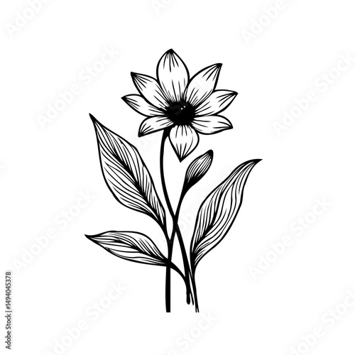 Elegant floral line art with delicate petals and textured foliage illustration