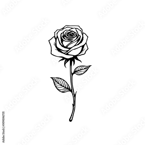 Elegant monochromatic depiction of a rose blossom with intricate linework detail